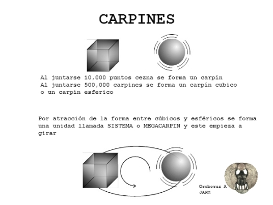 carpin c